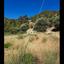 land for sale kaminaria limassol 8085839 thumbnail 14153468