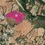 23821 SQM Land for sale in Kato Akourdalia, Paphos thumbnail 13635669