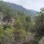 land for sale louvaras limassol 943939 thumbnail 17102930
