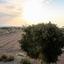 4 bedroom detached house for sale emba paphos 7543049 thumbnail 14762275