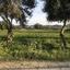land for sale dali nicosia 1191049 thumbnail 5822380