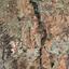 land for sale malounta nicosia 952049 thumbnail 15600698