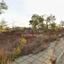 plot for sale kornos larnaca 1556049 thumbnail 5139702