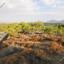 plot for sale kornos larnaca 1556049 thumbnail 5139707