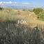 land for sale kallepeia paphos 1270149 thumbnail 5558148