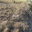 land for sale kallepeia paphos 1270149 thumbnail 5558153