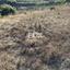 land for sale kallepeia paphos 1270149 thumbnail 5558155