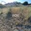land for sale kallepeia paphos 1270149 thumbnail 5558162