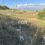 land for sale kallepeia paphos 1270149 thumbnail 5558164