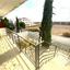 1 bedroom ground floor apartment for rent tersefanou larnaca 8429249 thumbnail 14985340