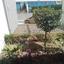 3 bedroom detached house for sale kalogiroi limassol 1940249 thumbnail 7689742