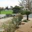 3 bedroom bungalow for sale ayia napa famagusta 1236349 thumbnail 5590782