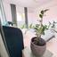 3 bedroom semi detached house for sale linopetra limassol 1839349 thumbnail 13234859
