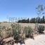 land for sale kato polemidia limassol 8941349 thumbnail 17675746