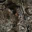 plot for sale palodeia limassol 1735349 thumbnail 14371503