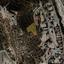 plot for sale palodeia limassol 1735349 thumbnail 14371504