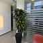 studio office for rent anavargos paphos 1852349 thumbnail 6712218