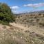 10368 SQM Land for sale in Nata, Paphos thumbnail 15873390