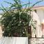 3 Bedroom Detached house for sale in Dekeleia, Larnaca thumbnail 15937409