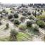 744 SQM Land for sale in Pera Chorio Nisou, Nicosia thumbnail 15446424