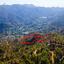 land for sale arakapas limassol 7872549 thumbnail 15885142