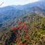 land for sale arakapas limassol 7872549 thumbnail 15885144