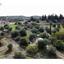 land for sale pera chorio nisou nicosia 7509549 thumbnail 15446422