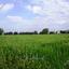 land for sale tremithousa paphos 8959549 thumbnail 17782592