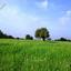 land for sale tremithousa paphos 8959549 thumbnail 17782593