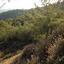 land for sale vavatsinia larnaca 1077549 thumbnail 15603248