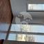 3 bedroom penthouse for sale chrysopolitissa larnaca 8585649 thumbnail 15679459