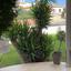 4 bedroom detached house for sale athienou larnaca 1521649 thumbnail 16120745