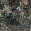 land for sale mosfiloti larnaca 8570649 thumbnail 15753799