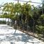 3 bedroom detached house for sale maroni larnaca 1396749 thumbnail 15360034
