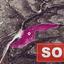 land sold skarinou larnaca 1171749 thumbnail 2608504