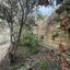3 bedroom detached house for sale kalo chorio lemesou limassol 7862849 thumbnail 14517521