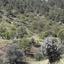 land for sale agios epifanios oreinis nicosia 1751849 thumbnail 4794440
