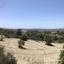 land for sale monagroulli limassol 1924849 thumbnail 12701245