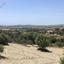 land for sale monagroulli limassol 1924849 thumbnail 12701246