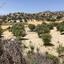 land for sale monagroulli limassol 1924849 thumbnail 12701249