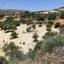 land for sale monagroulli limassol 1924849 thumbnail 12701253
