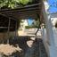 3 bedroom detached house for rent pervolia larnaca 8771949 thumbnail 17036011