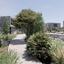 3 bedroom detached house for sale geroskipou plage paphos 8958949 thumbnail 17776687