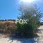 land for sale koili paphos 1307949 thumbnail 14831267
