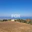 land for sale koili paphos 1307949 thumbnail 14831276