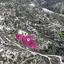 land for sale peyia paphos 1387949 thumbnail 13348025