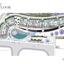 2 bedroom apartment for sale agios athanasios limassol 1504059 thumbnail 14139064