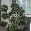 3 bedroom detached house for sale episkopi lemesou limassol 1146259 thumbnail 5501666