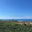 7 bedroom detached house for sale coral bay paphos 7545259 thumbnail 10300503