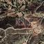 14717 SQM Land for sale in Lageia, Larnaca thumbnail 12887338